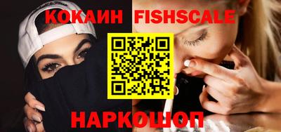 соль ск Партизанск