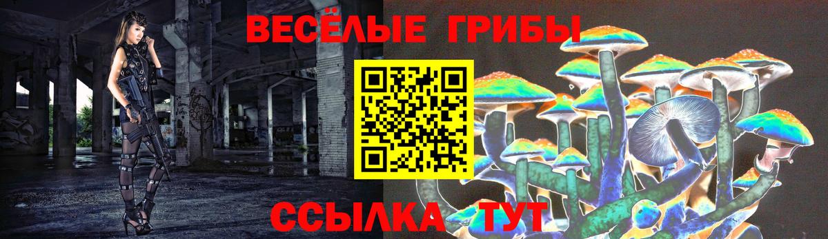 Псилоцибиновые грибы прущие грибы  Галлюциногенные грибы Psilocybe  Вход с VPN  Россия 